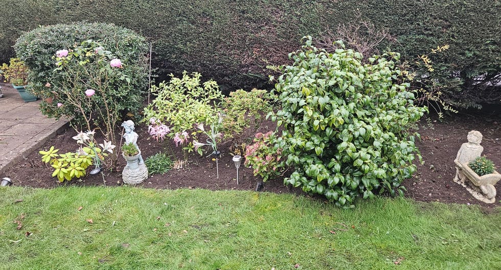 Professional lawn mowing Worcester - perfectly striped lawn